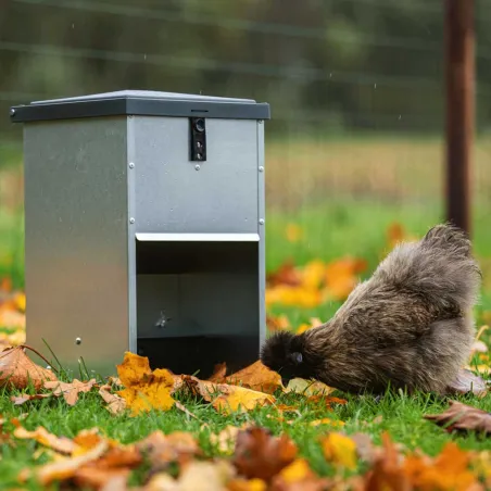 Mangeoire à trémie galvanisée 5 kg pour volailles et canards