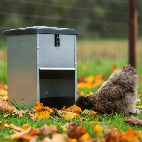Mangeoire à trémie galvanisée 5 kg pour volailles et canards