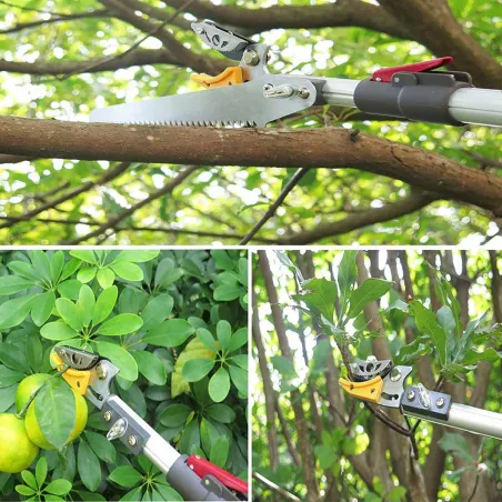 Sécateur téléscopique 2 en 1 - Coupe et scie extensible jusqu'à 4 m