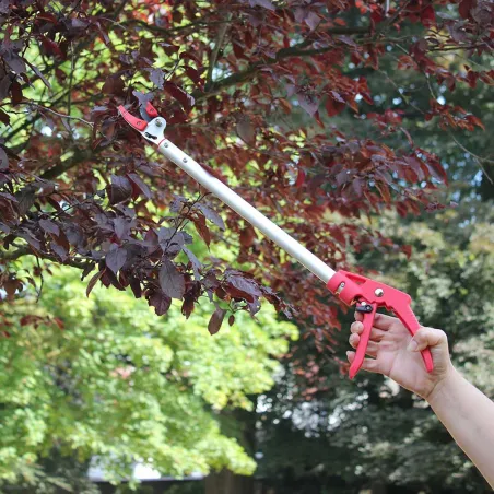 Sécateur télescopique à long manche - Coupe précise jusqu'à 2,30 m