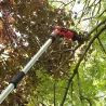 Scie sabre télescopique sans fil 12V avec rallonge 170 cm - Lames bois & métal incluses