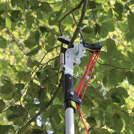 Échenilloir téléscopique Strong&Easy - Coupe branches jusqu'à 4,25 m avec scie intégrée
