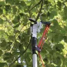 Échenilloir téléscopique Strong&Easy - Coupe branches jusqu'à 4,25 m avec scie intégrée