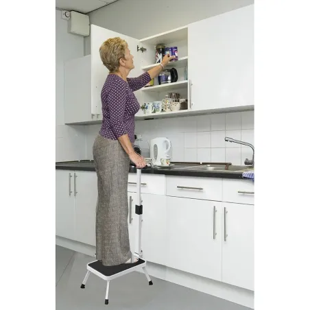 Marchepied sécurisé pliable avec barre d'appui - Hauteur 17 cm - Acier blanc