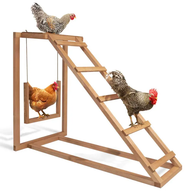 Perchoir poules en bois 1 échelle avec balançoire