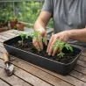 Bac à semis plastique dimension 53 x 23 x 20 cm