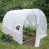 Serre maraîchère 6m² pour légumes et plants potager jardin