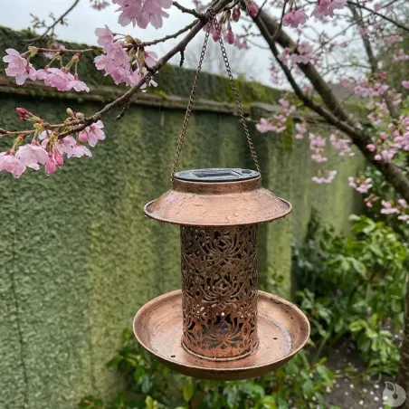 Lanterne solaire et mangeoire Ø 19 x 20 cm