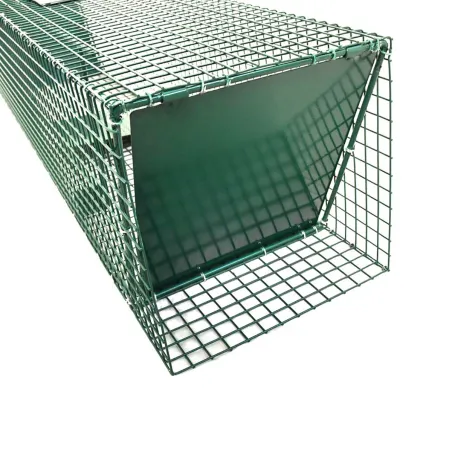 Piège à trappes type US 2 entrées maille acier vert ragondins, rats musqués,