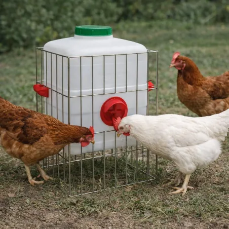 Mangeoire grande capacité 15 kg – robuste, anti-gaspillage