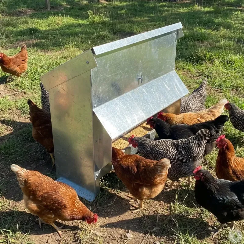 Mangeoire à trémie galvanisée 20 kg pour poulets