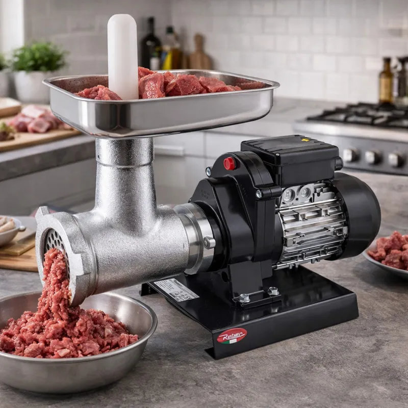 Hachoir Professionnel Moteur Étanche Monophasé Induction 220V