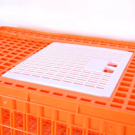 Cage transport démontable volatiles et rongeurs 77x58x29cm