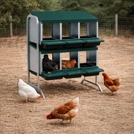 Pondoir poule pro vertical galvanisé 6 nids