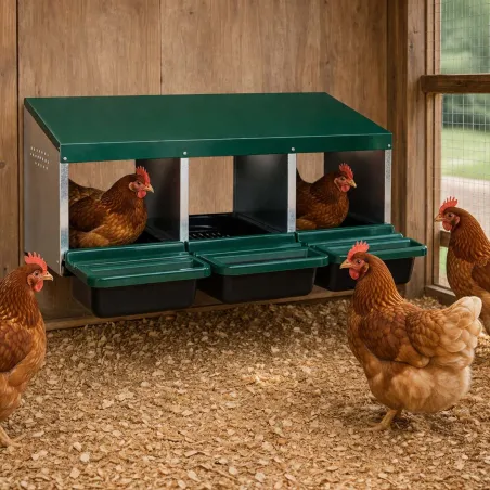 Pondoir poule pro en tôle galvanisée 3 nids