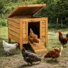 Nichoir poulailler Bois forme cube poules, canards, cailles ou lapins