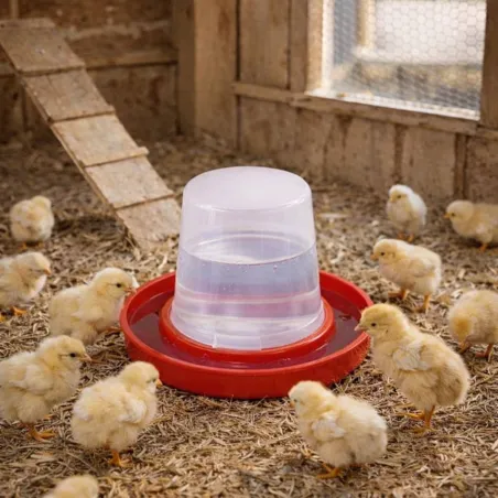 Abreuvoir poussins 350 ml compatible cages Cimuka