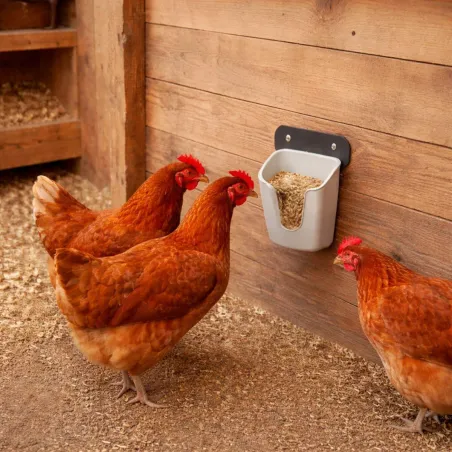 Mangeoire murale volailles V Feedr 350 g