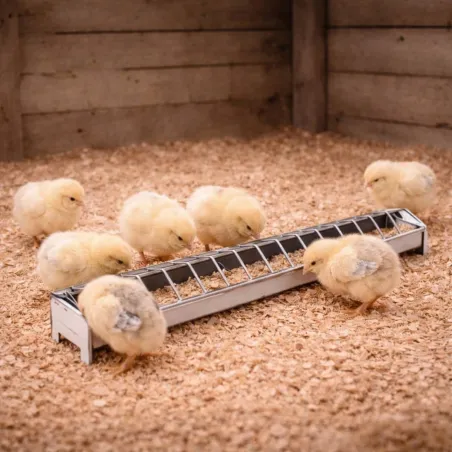 Mangeoire métal poussins 50 cm à barrettes avec couvercle