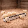 Mangeoire métal poussins 50 cm à barrettes avec couvercle