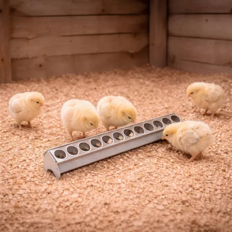 Mangeoire métal galvanisé poussins 50 cm à trous