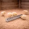 Mangeoire métal galvanisé poussins 50 cm à trous