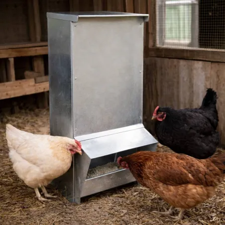 Mangeoire à trémie galvanisée 15 kg 22 x 22 x 57 cm