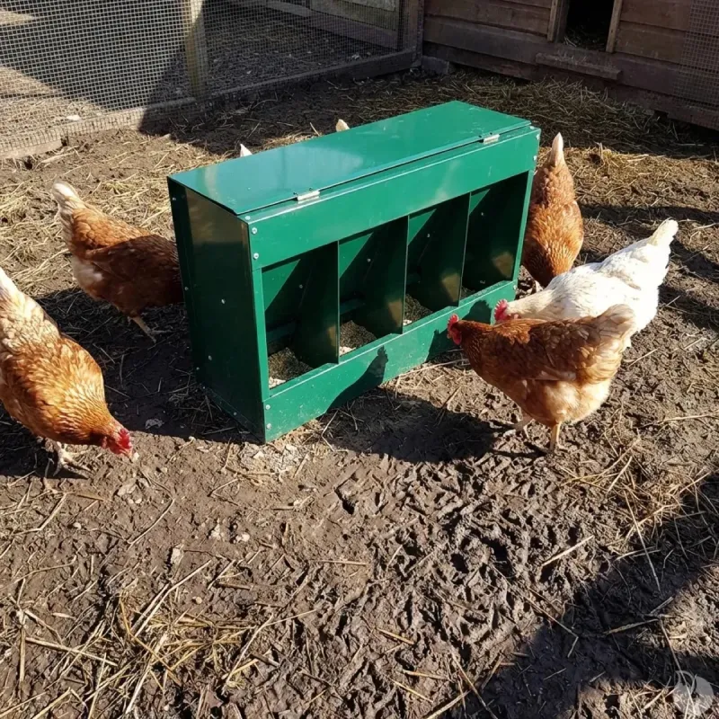 Mangeoire 20 kg 4 compartiments thermolaqué vert 46 x 17 x 40 cm