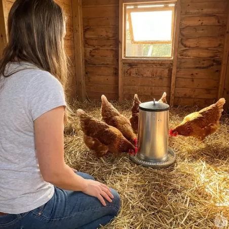 Mangeoires volaille à trémie métal 5kg en lot de 5
