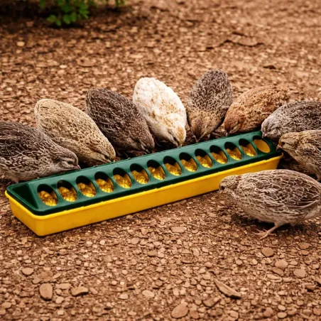 Mangeoire volaille plastique à trous 50cm