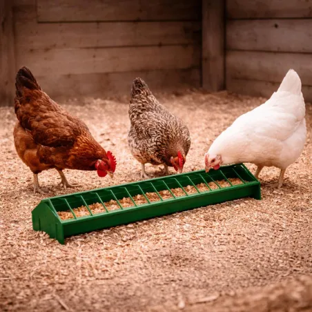 Mangeoire linéaire volailles en plastique pas cher - Ducatillon