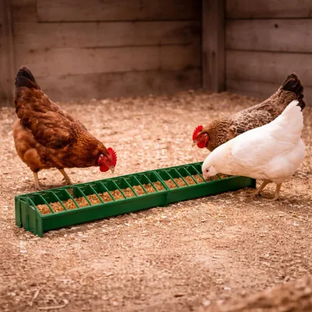 Mangeoire linéaire volailles, plastique