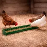 Mangeoire linéaire volailles, plastique