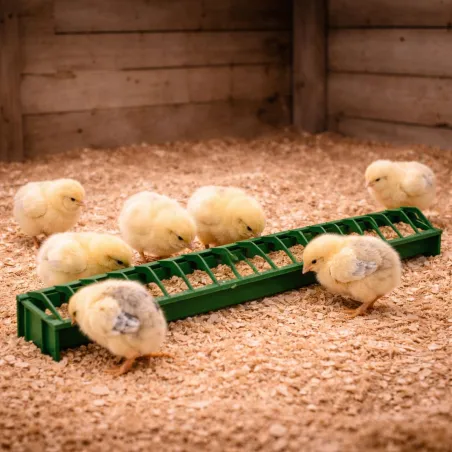 Mangeoire linéaire poussins et cailles en plastique à barrettes 50 cm