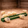 Mangeoire linéaire poussins et cailles en plastique à barrettes 50 cm