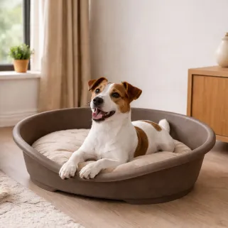 Corbeille pour chien en plastique 50x38x22 cm