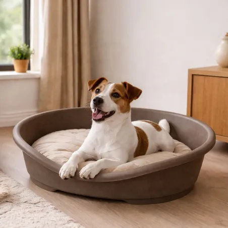 Corbeille pour chien en plastique 50x38x22 cm