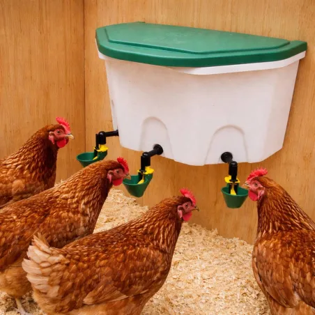 Abreuvoir poule fixation murale Aviaqua 8L à coupelles Olba