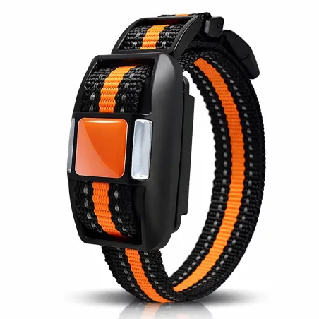 Collier de dressage supplémentaire - 500m - IP67 - Rechargeable