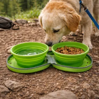 Double gamelle chien voyage rétractable silicone 700ml avec zip