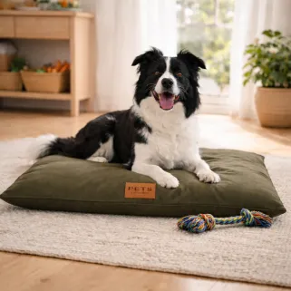 Coussin pour animaux toile Oxford 85 x 65 x 14 cm