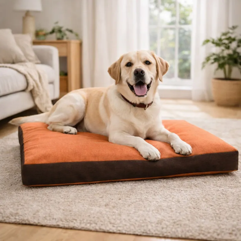 Coussin chien Hunter 55 x 40 x 12 cm.