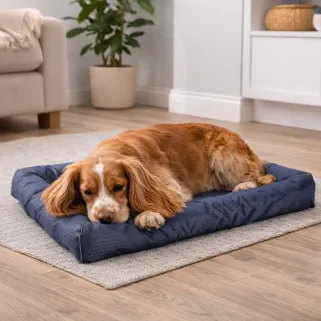 Coussin Matelas Imperméable Bleu 91x60x20cm Antidérapant