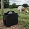 Electrificateur clôture sur pile Pilenclos 0,25J Chapron-Lemenager