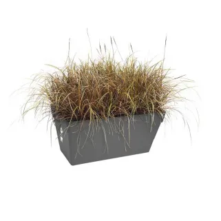 Lot de 2Jardinières 70 cm Elho® - Gris - Réservoir intégré