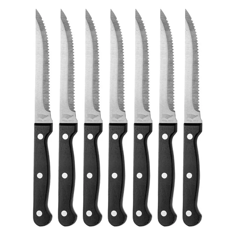 Lot 6 couteaux 22 cm à steak lame inox Pradel France