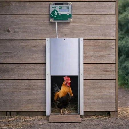 Portier à horloge + trappe standard 22x33cm