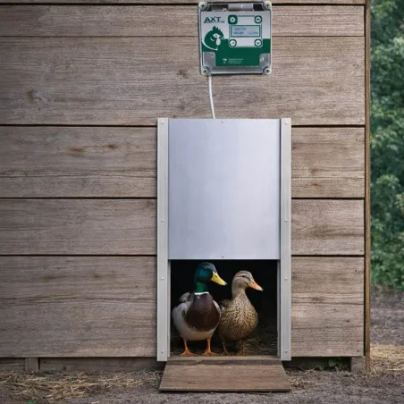 Portier à horloge + trappe canard 30x40cm