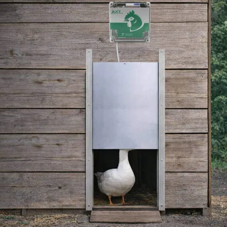 Portier à capteur de lumière + trappe oie 33x50cm