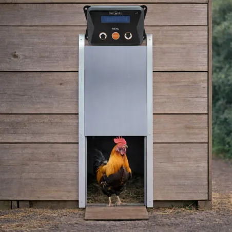 Kit porte automatique poulailler breed safe V2 + trappe poule